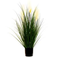uploads/erp/collection/images/Home Garden/CongDing/XU0611286/img_b/XU0611286_img_b_5